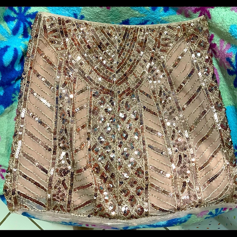 Y2K Endless Rose skirt
